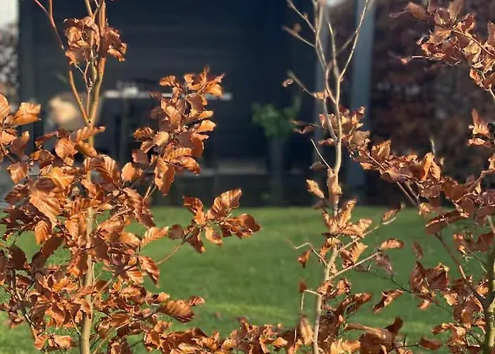 营地 De Hofstee 118 *